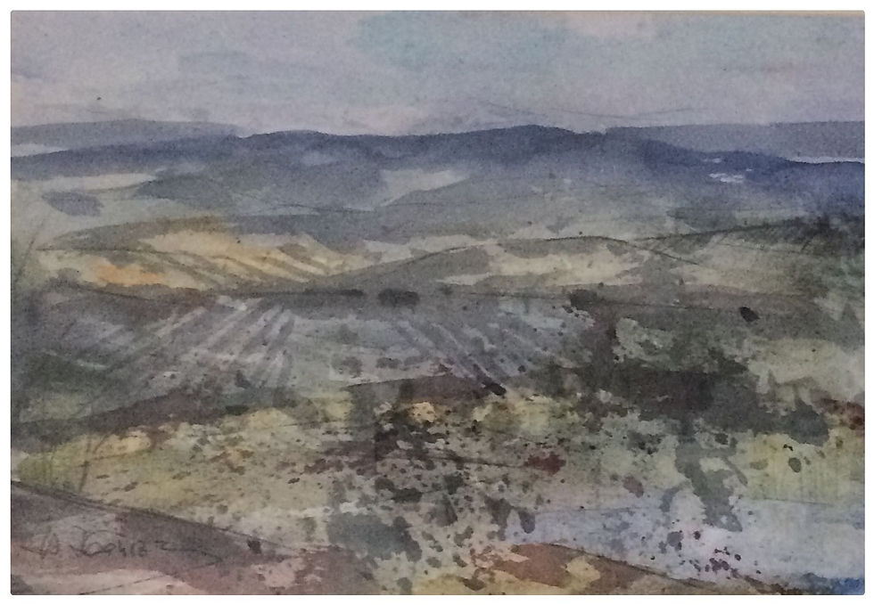 20170105_Campiña