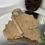 Thumbnail: Crinoid Fossil - Jimbacrinus Bostocki from WA