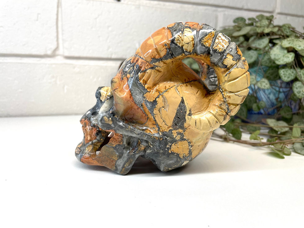 Maligano Jasper Skull with Horns