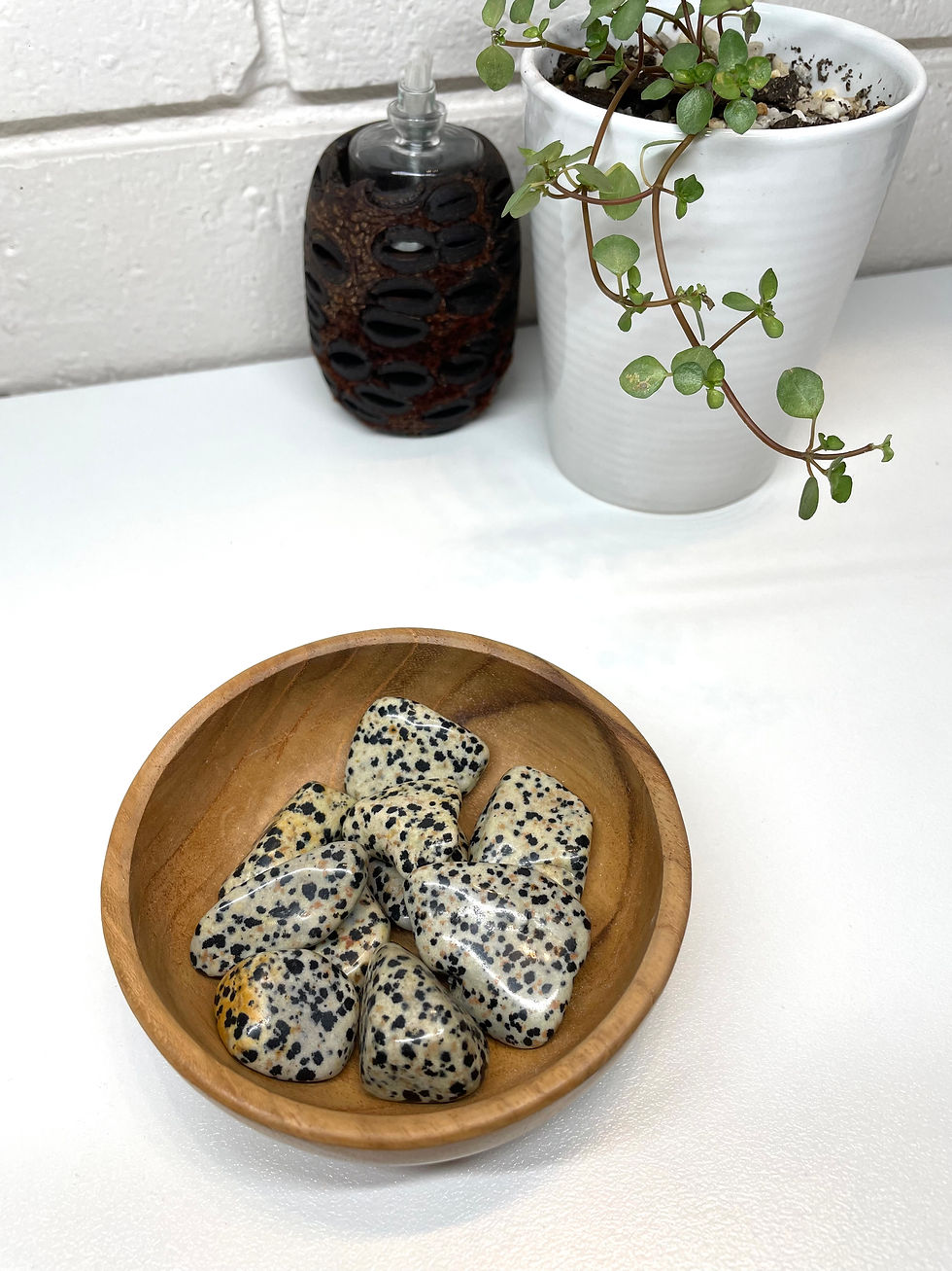 Dalmatian Jasper Tumbles