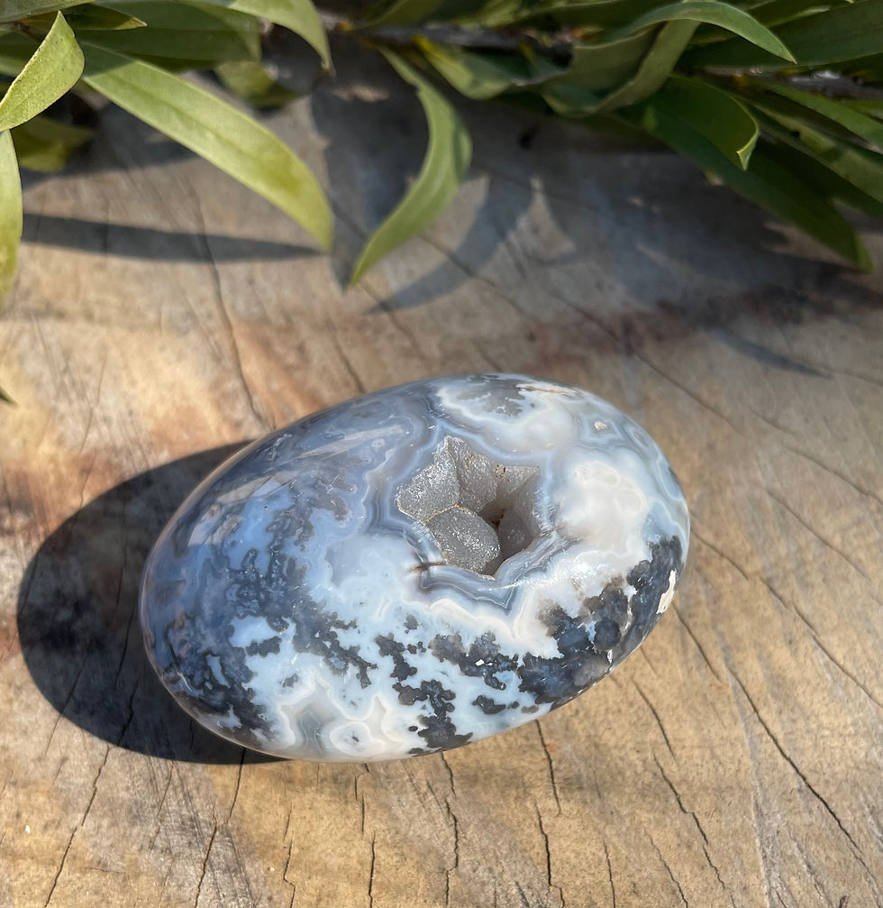Thumbnail: Black Plume Agate Palm Stones