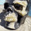 Thumbnail: Petrified Palm Root Skull