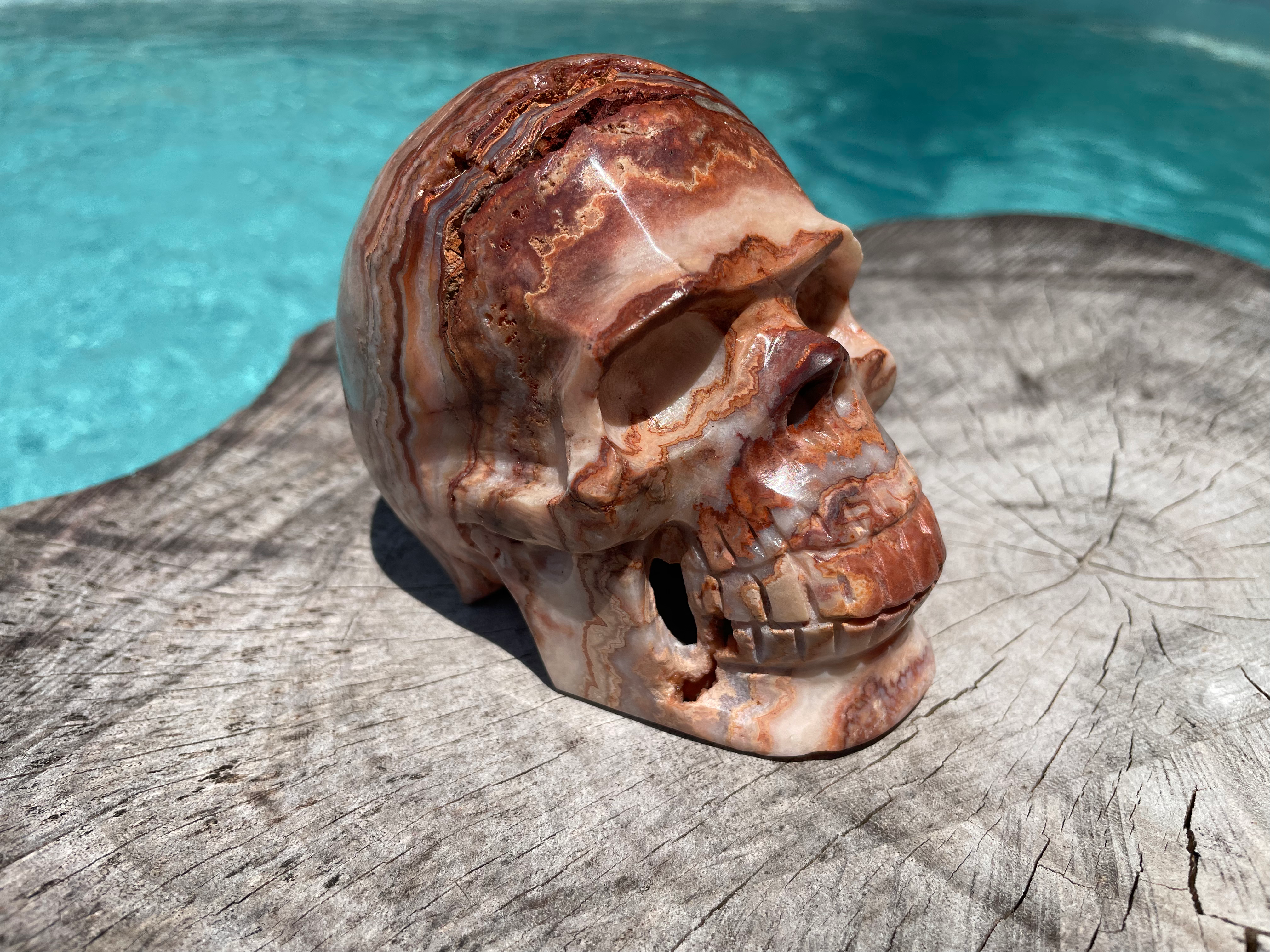 Pink Lace Agate Skull