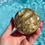 Thumbnail: Golden Lepidolite with mica sphere