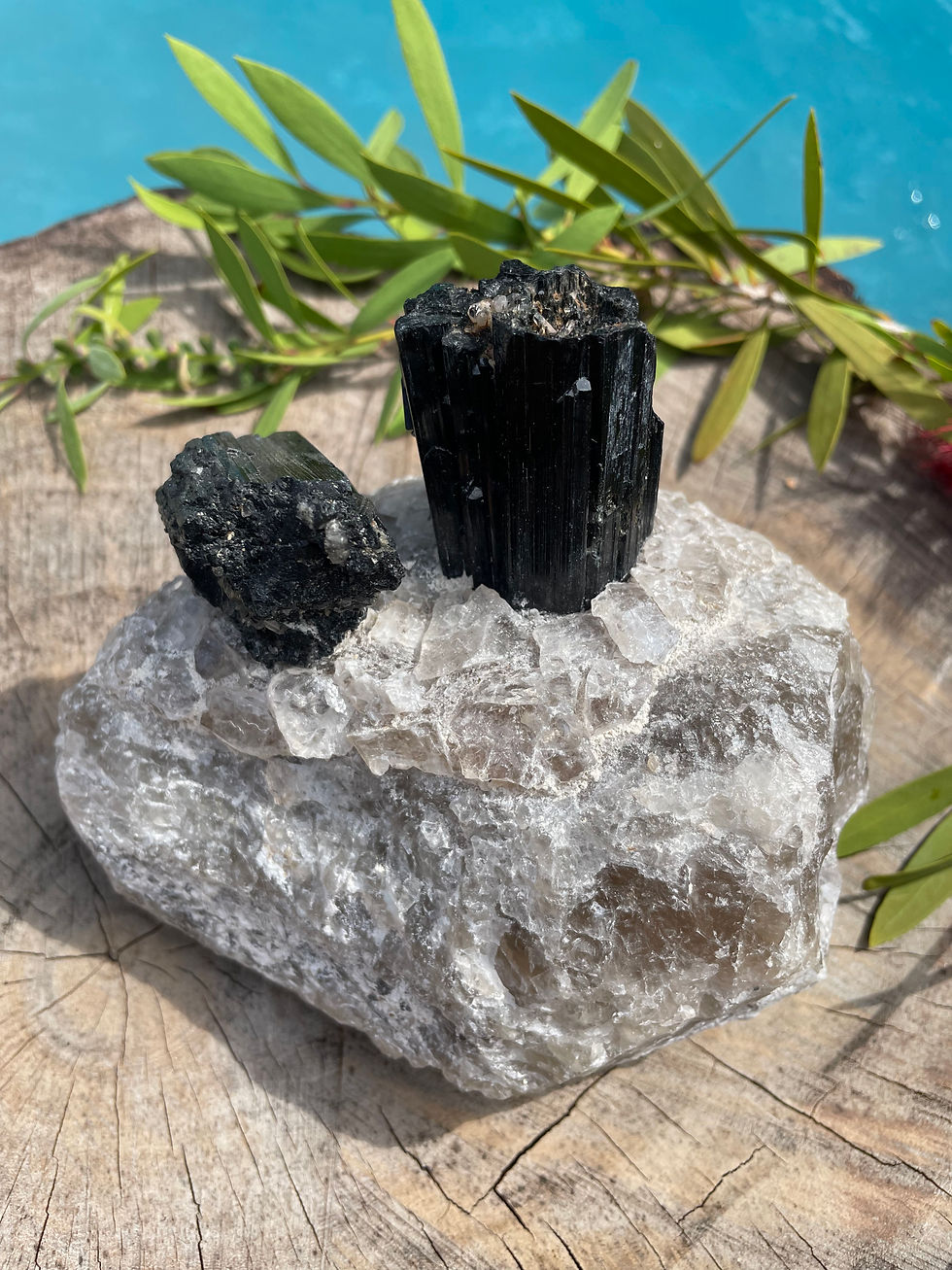 Tourmaline in host rock of quartz and mica