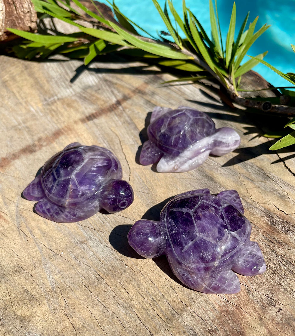 Amethyst Turtles