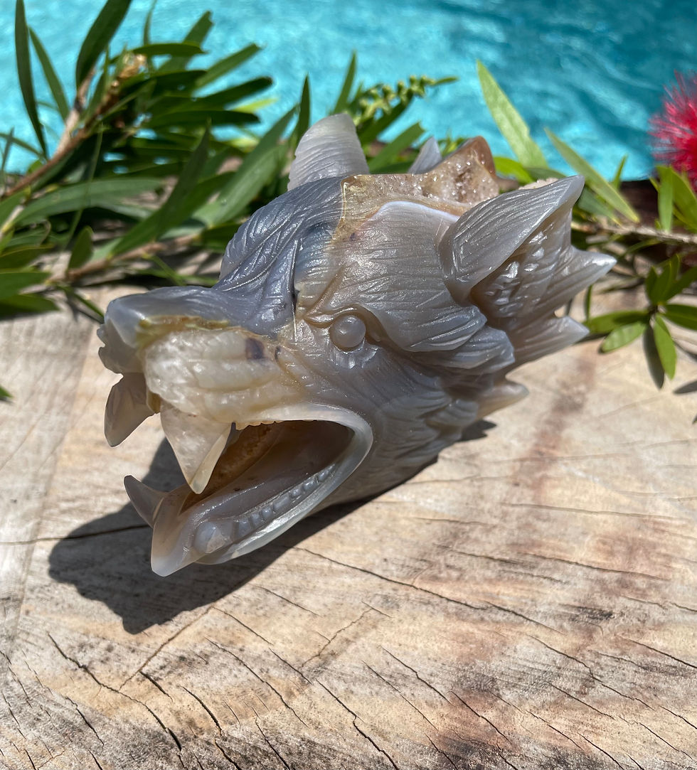 Agate Wolf with druzy