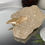 Thumbnail: Shark Tooth Fossil - Otodus Obliquus