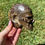 Thumbnail: Ammonite Skull Carving