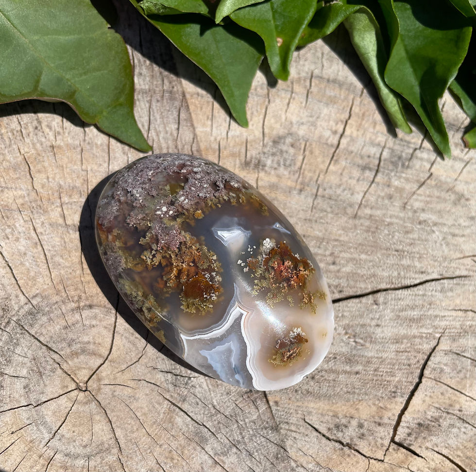 Thumbnail: Scenic Moss Agate Palm Stones