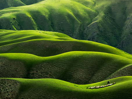 THE EARTH IS THE BOARDROOM NOW