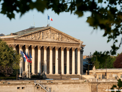 L’utilisation du terme populis* au sein de l’Assemblée nationale française en 2019