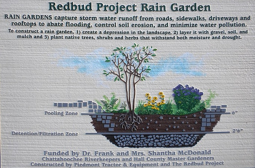 rain garden sign.jpg