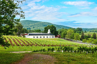 Barboursville Vineyard.jpg