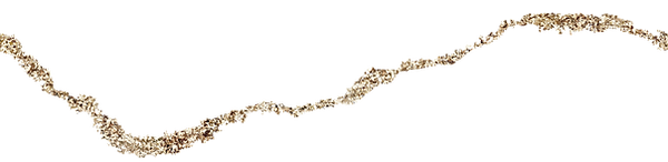 JtV (2).png