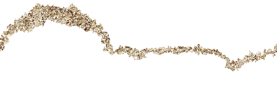 JtV (2).png