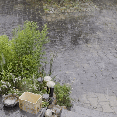 TJM_Skybrud_400x400.gif