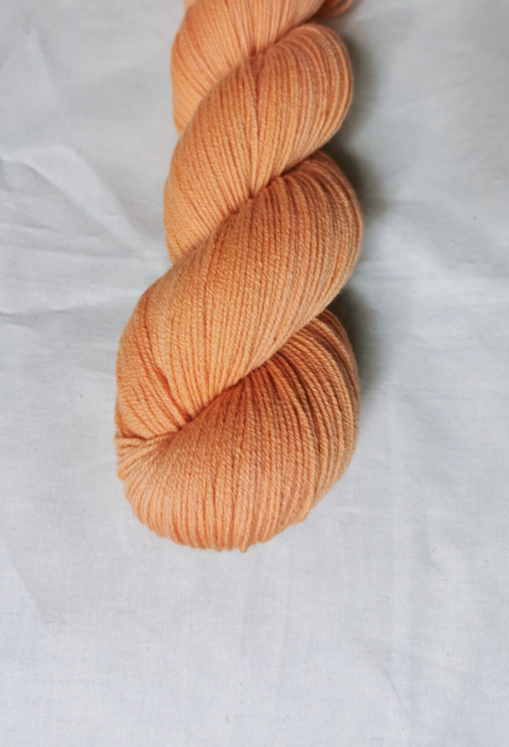 Louise Dupin - Abricot