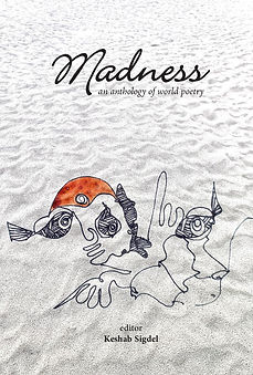 Adiela Akoo Poetry featured in Madness poetry anthology.jpg