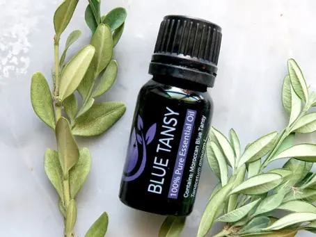 Blue Tansy Essential Oil