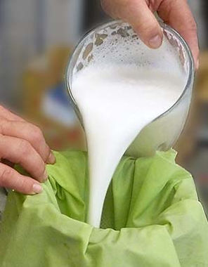 SoyTEXT-.jpg