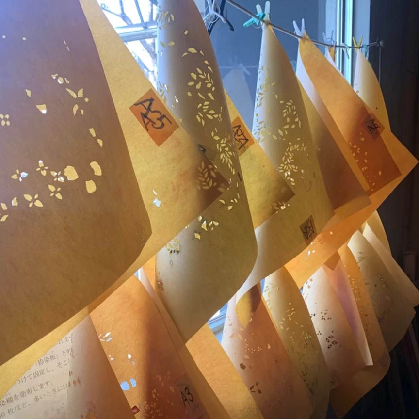 Thumbnail: Katazome Extravaganza–full course