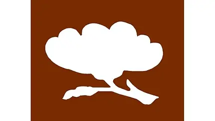 Designing Your Stencil