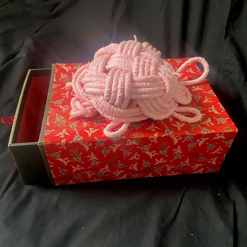 Thumbnail: Shibori Tortoise Bolt