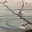 Thumbnail: Painted Fukusa Mandarin Ducks 福砂-手描-7