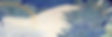 fallen Angel banner long 144.jpg
