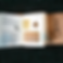 Thumbnail: detail sample page fiddle-head fern