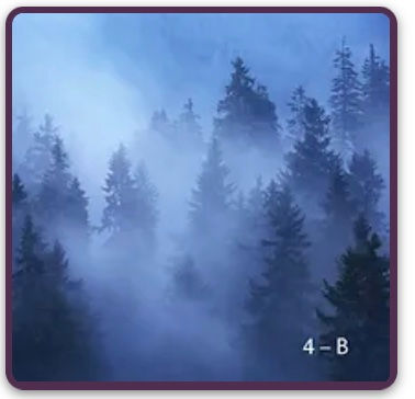 Thumbnail: Full Course.- Indigo Extravaganza