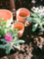 Wasco Ag. Boosters Annual Drive - Through BBQ and Plant Sale (1)