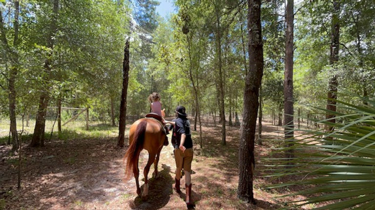 small child on a horse with an adult