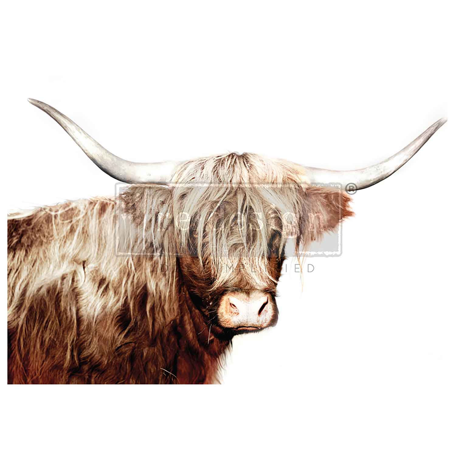 The Majestic Moo Highland cow with long horns and shaggy hair.