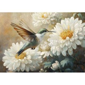 Hummingbird hovering near white flowers in Whispers Of The Garden
