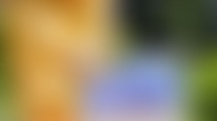 神谷町オープンテラスからのお知らせ(2024.6)