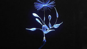 11/25(火)介護者カフェのご案内