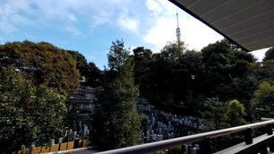 11/12(火)介護者カフェのご案内