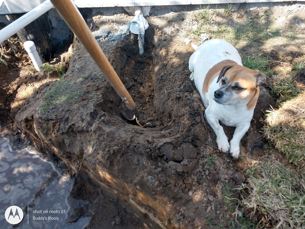 IMG_20210216_115231799_HDR