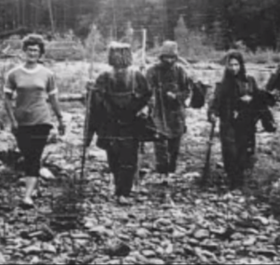 Lost in the taiga