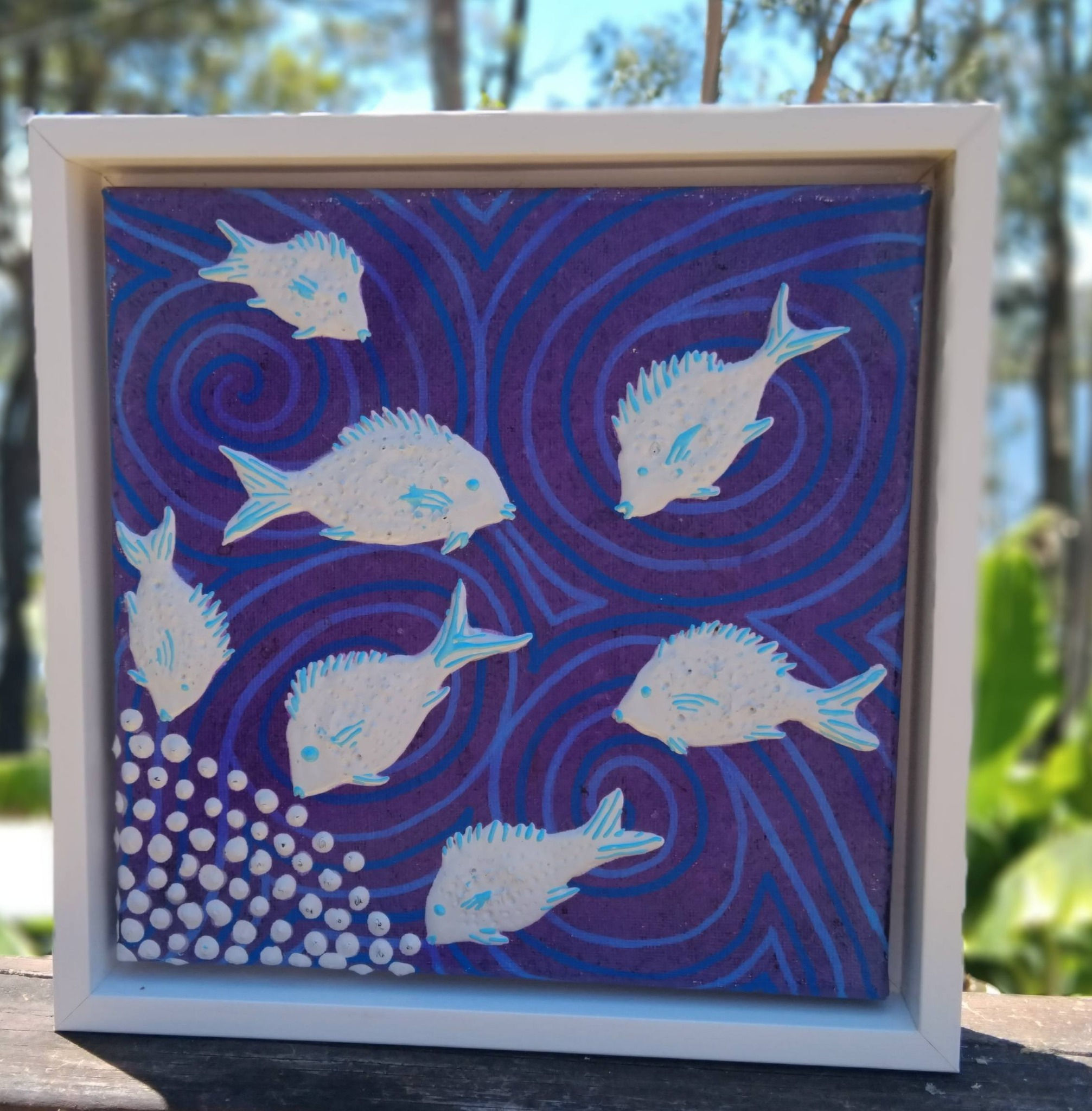 Silver Bream on Oyster Reef