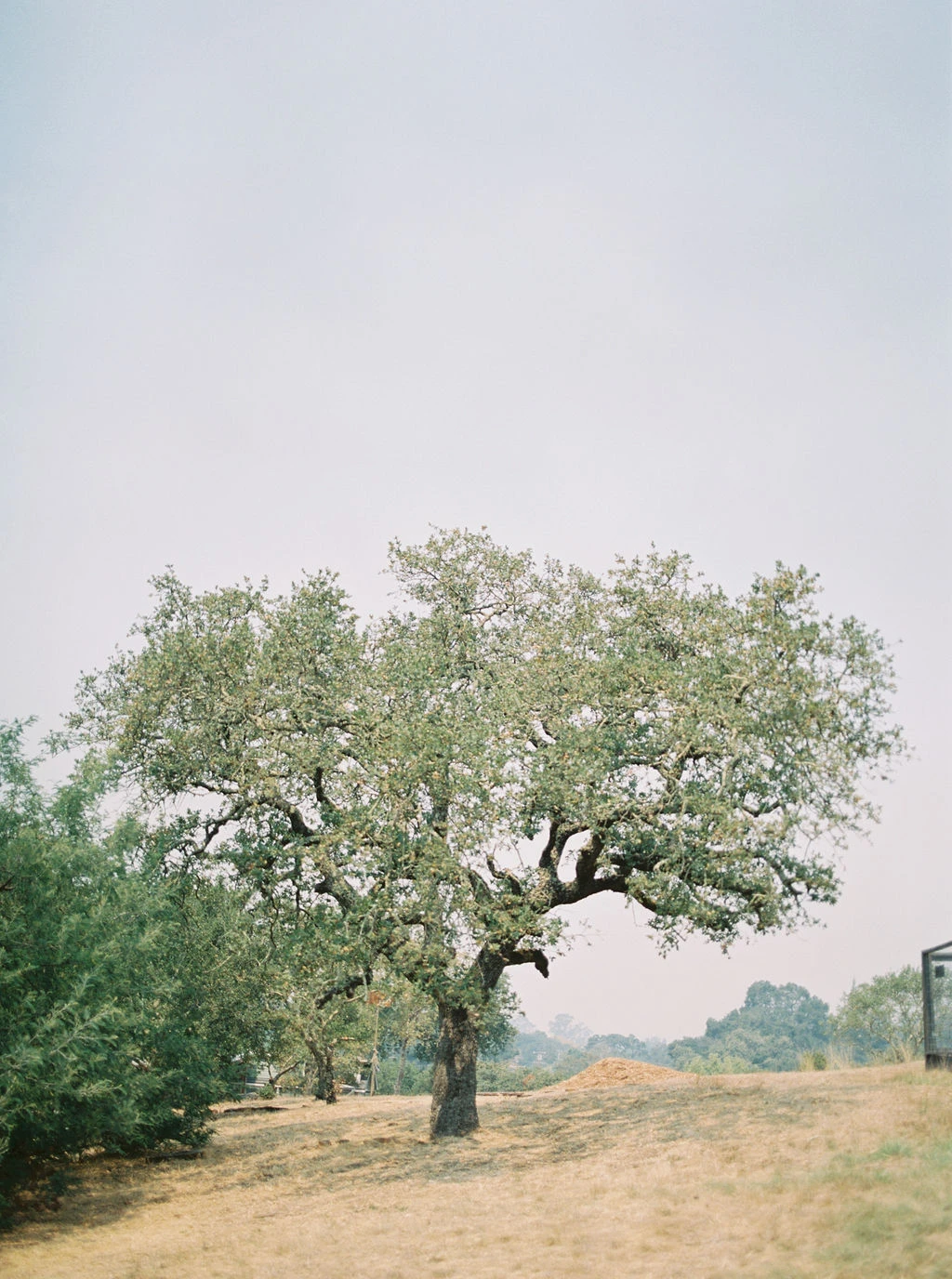 Napa Valley Hair and Makeup Artist