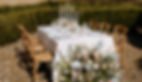 TWTBridgertonSP-4_edited.jpg