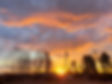 20241217_073655.jpg