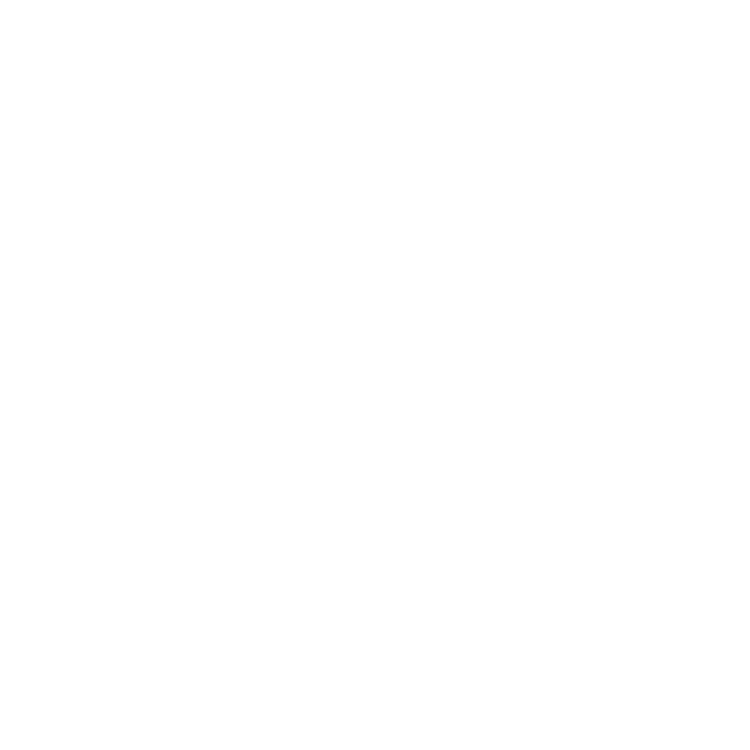 VIF Future Gen