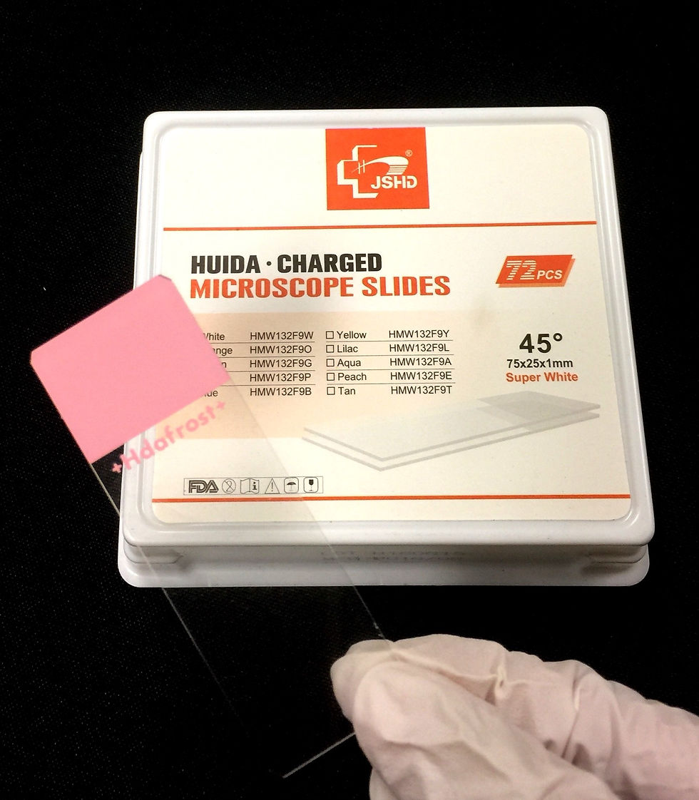 Thumbnail: JSHD(HUIDA) Microscope slide