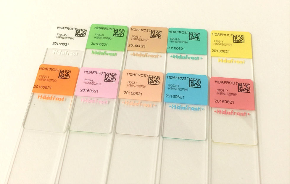 Thumbnail: JSHD(HUIDA) Microscope slide