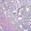 Thumbnail: (select 6 out of 16 types) Normal human tissue