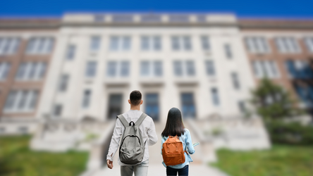 Finding Clarity in Confusion: Guiding Language Learning